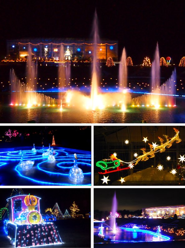 🌸 하마마쓰 플라워 파크 이미지 13